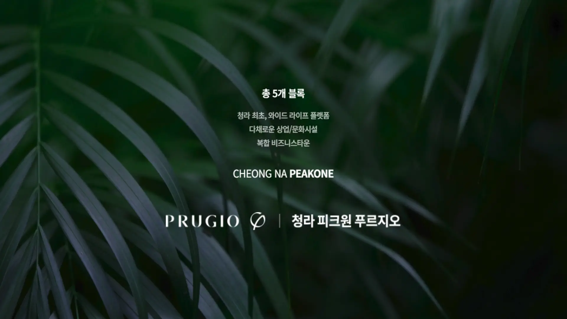 청라 피크원 푸르지오