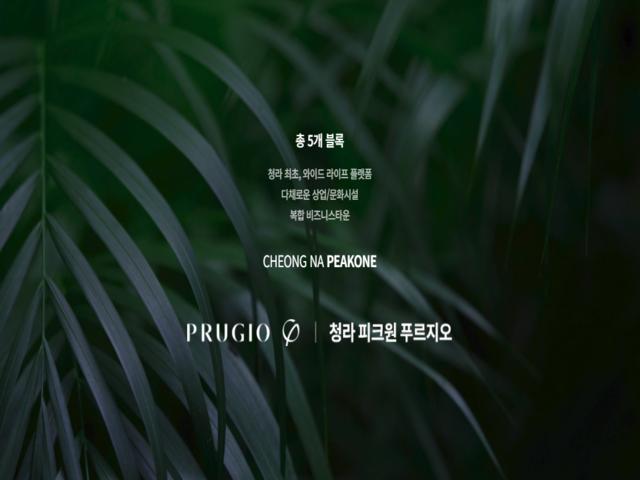 청라 피크원 푸르지오 메인